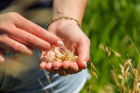 Intolérance au gluten et maladie cœliaque