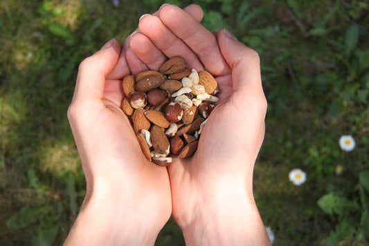 Valeurs nutritionnelles des noix